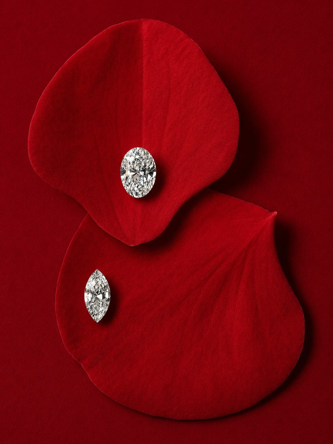 Two lab-grown diamonds resting on red rose petals