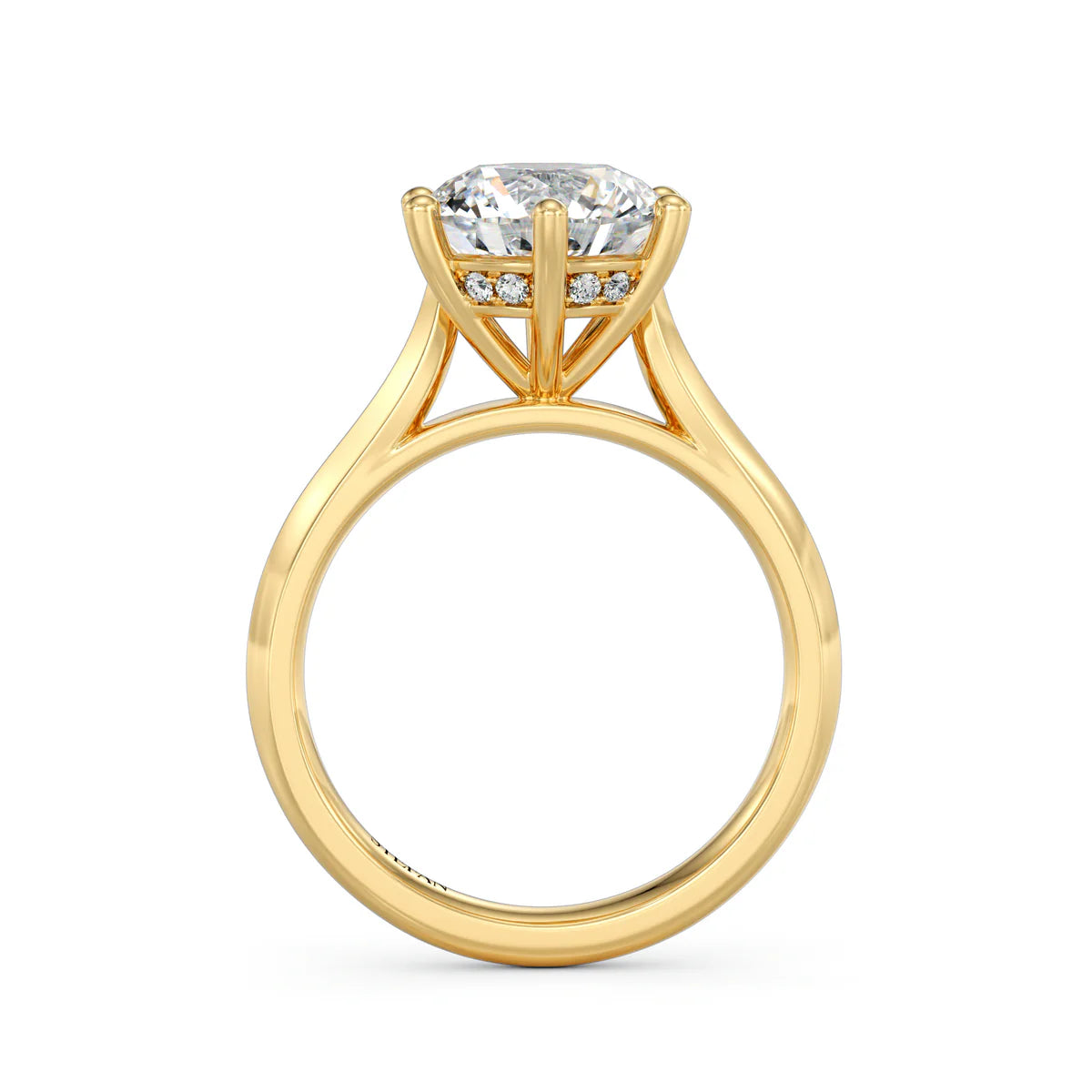 The Abigail Ring