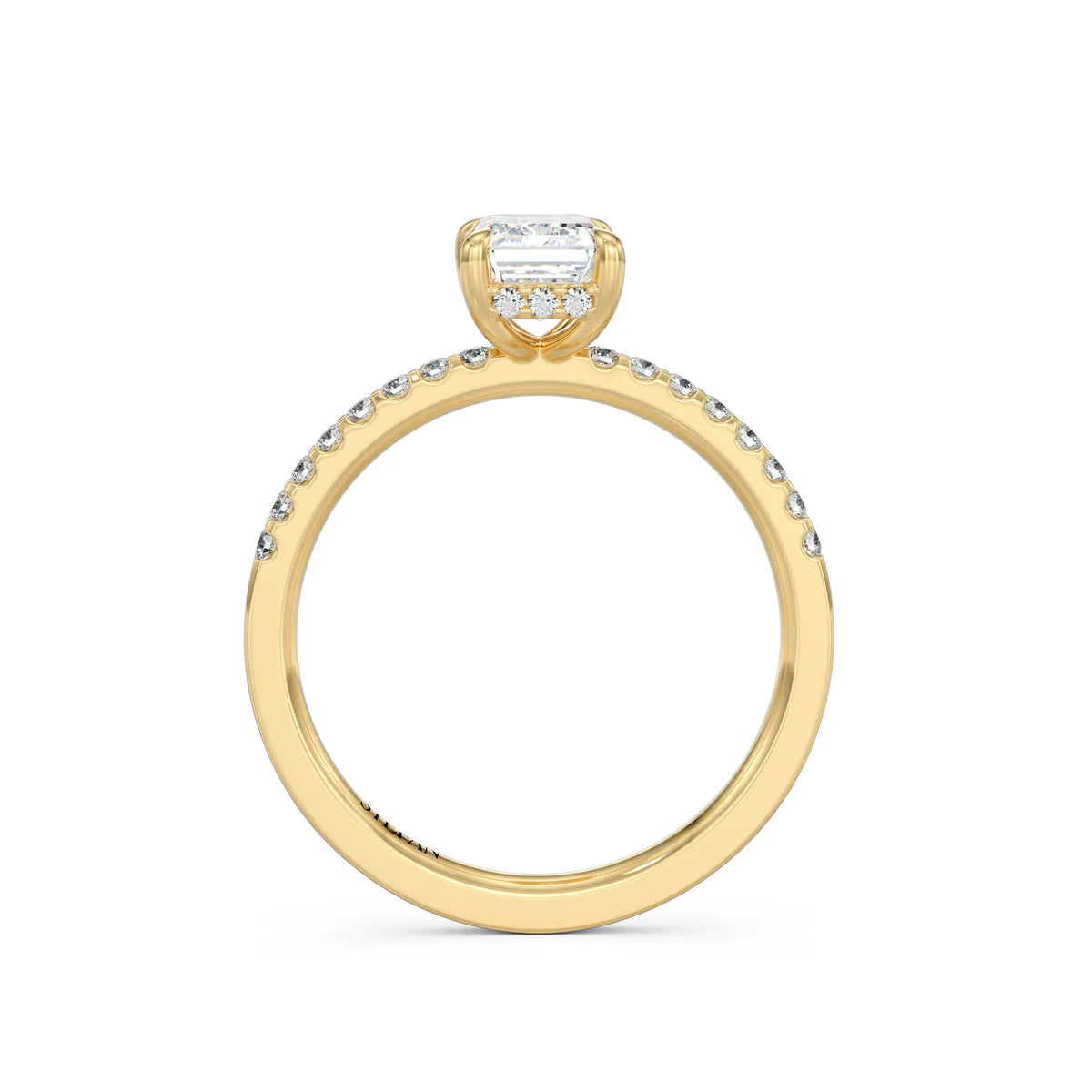 The Bianca Ring