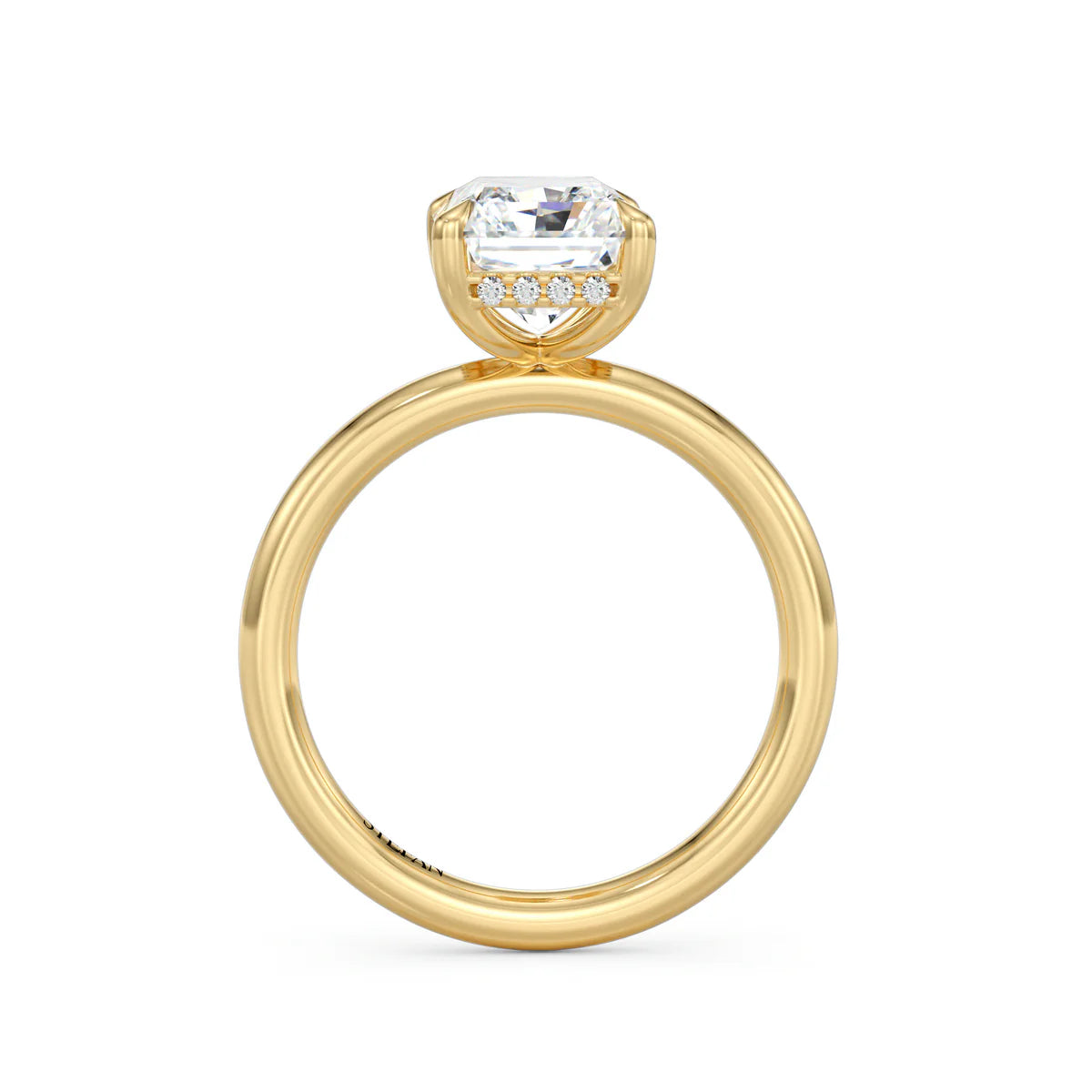 The Ellie Ring