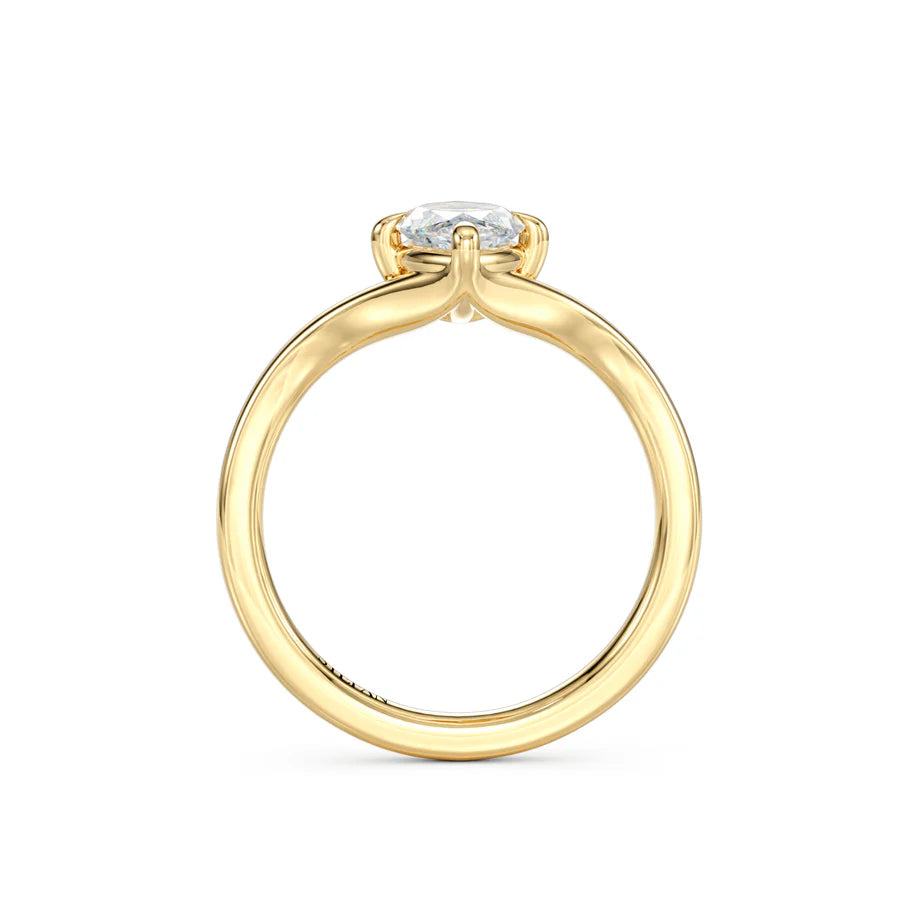 The Erin Ring