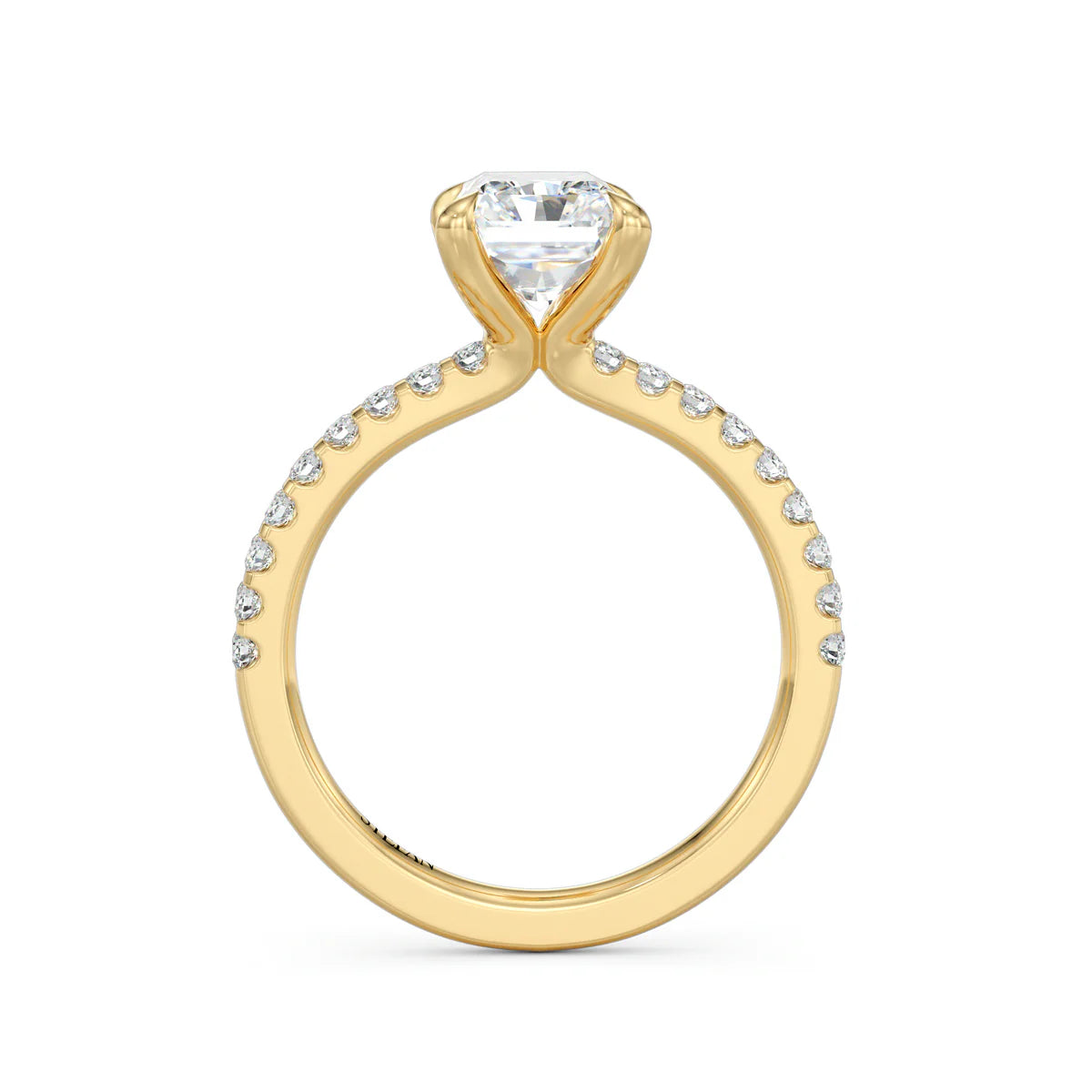 The Ivy Ring