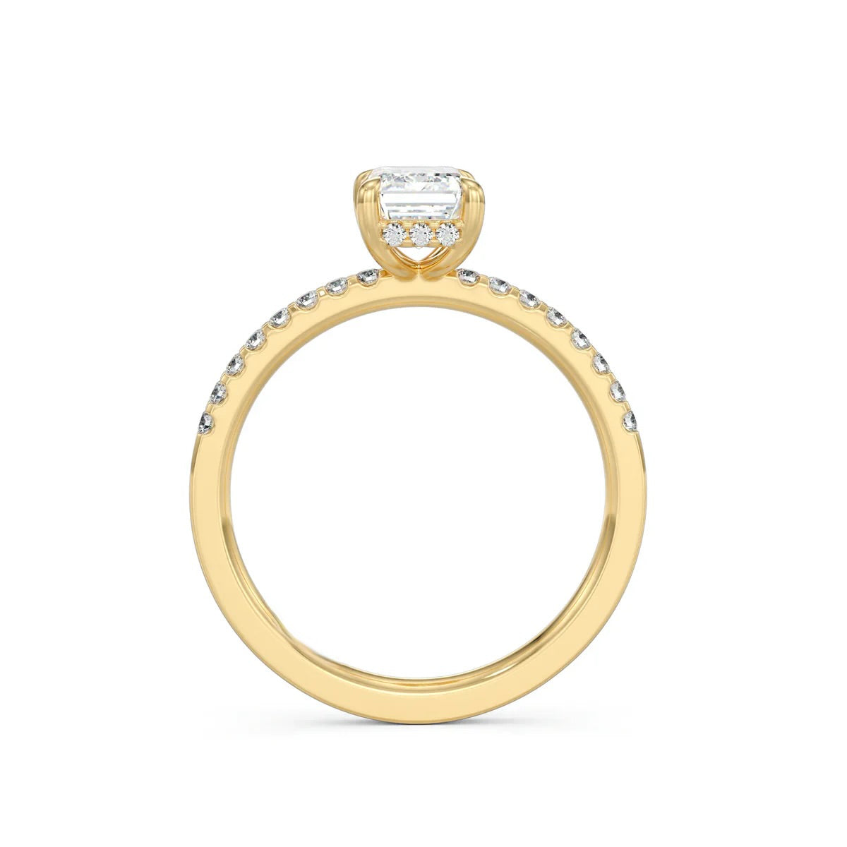 The Bianca Ring