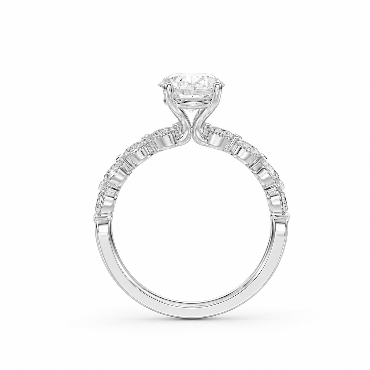 The Ebony Ring