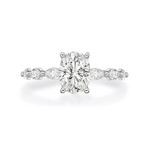 The Vienna Ring