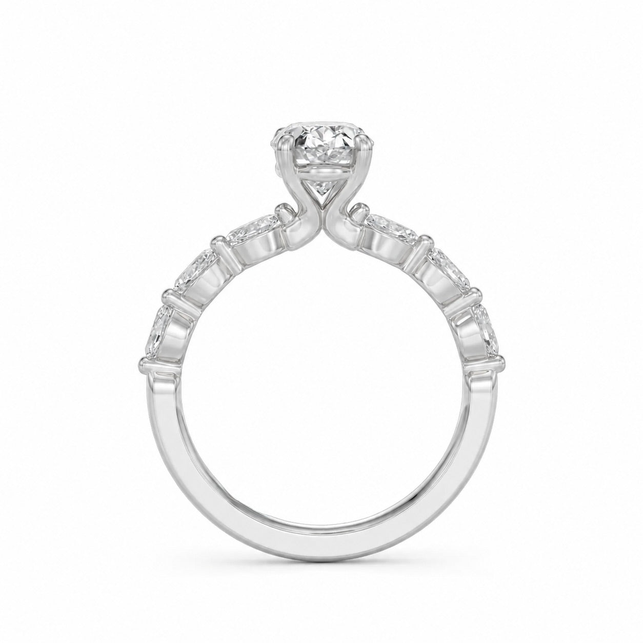 The Vienna Ring